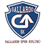 Логотип баскетбольного клуба Gallardo(W)